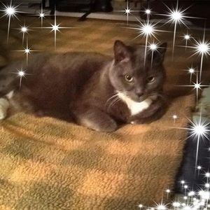 Meet your Posher, Donna